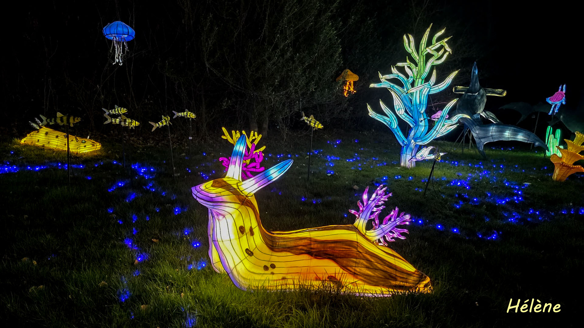 THOIRY -Illumination ,  Lumières sauvages 2025-2026